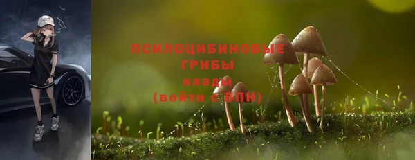 спиды Богородск