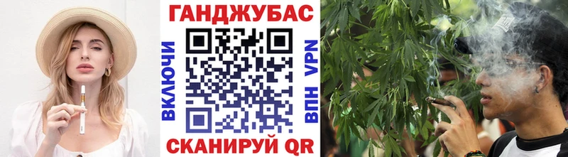 Марихуана конопля как найти закладки Бикин